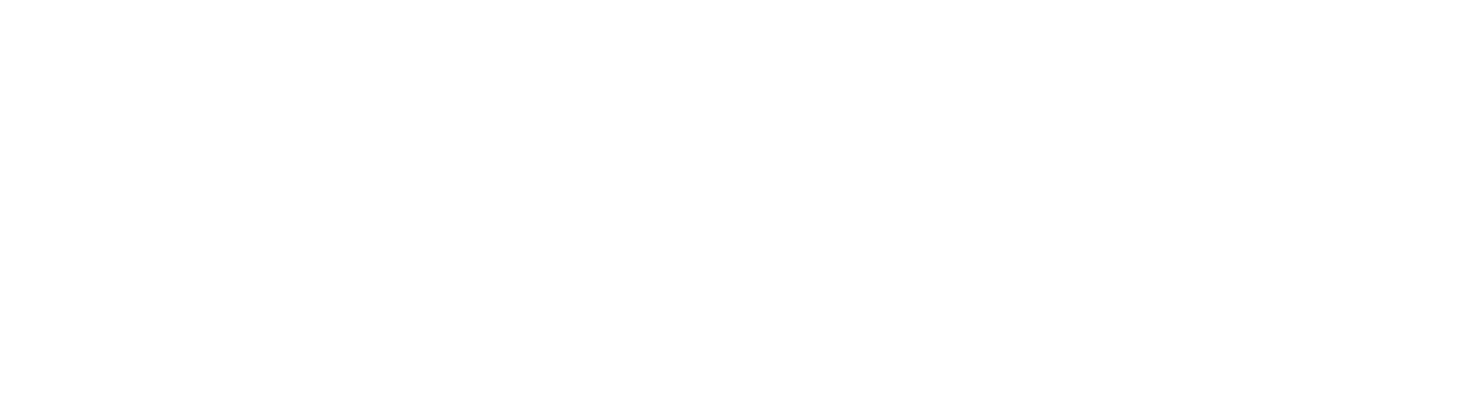 InsurFlow